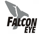 Falcon Eye