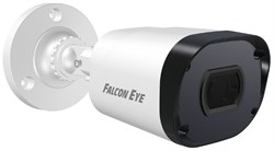 Видеокамера Falcon eye FE-IPC-BP2e-30p - фото 24620