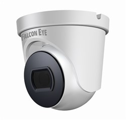 Видеокамера Falcon eye FE-IPC-D2-30p - фото 24636