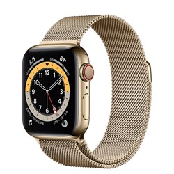 Часы Apple Watch 6 (Корпус из стали золотого цвета - Миланский золотой ремешок) - фото 35357