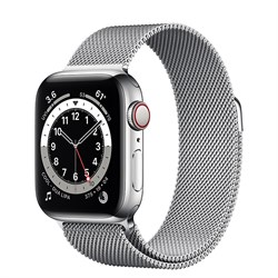 Часы Apple Watch 6 (Корпус из стали серебристого цвета - Миланский серебристый ремешок) - фото 35361