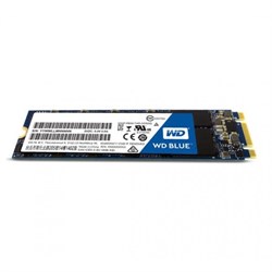 Твердотельный внутренний диск SSD  WD  250GB, SATA-III, R/W - 550/525 MB/s, (M.2), 2280, TLC, синий - фото 9966