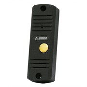 Вызывная видеопанель AVC-305 (PAL)