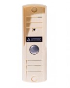 Вызывная видеопанель AVP-505 (PAL)