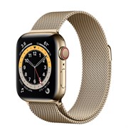 Часы Apple Watch 6 (Корпус из стали золотого цвета - Миланский золотой ремешок)