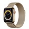 Часы Apple Watch 6 (Корпус из стали золотого цвета - Миланский золотой ремешок) - фото 35357