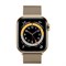 Часы Apple Watch 6 (Корпус из стали золотого цвета - Миланский золотой ремешок) - фото 35358