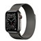 Часы Apple Watch 6 (Корпус из стали графитового цвета - Миланский графитовый ремешок) - фото 35365