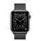 Часы Apple Watch 6 (Корпус из стали графитового цвета - Миланский графитовый ремешок) - фото 35366